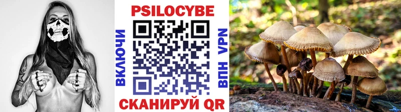 Купить  Мосальск  Галлюциногенные грибы Psilocybine cubensis 