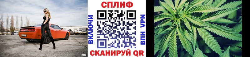 Каннабис VHQ  Купить где  Мосальск 